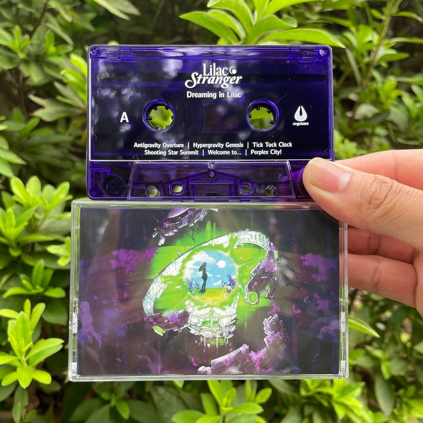 Dreaming in Lilac - Physical Tape
